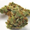 Northern Lights indica flower buds with dense trichome coverage and deep green coloring