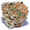 Chemdawg hybrid cannabis flower buds with dense trichome coverage and rich green coloring