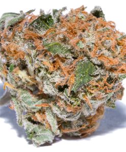 Chemdawg hybrid cannabis flower buds with dense trichome coverage and rich green coloring