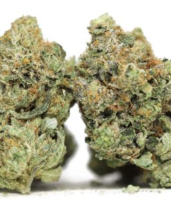 Chunky Gorilla Glue #4 premium hybrid flower buds showing thick resin coating and earthy green coloring