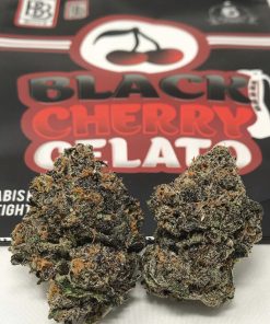 Persy Baller Jar Black Cherry Gelato extract in sealed jar product shot