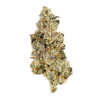 33 Splitter indica dominant hybrid cannabis flower buds, Gelato x Atom Splitter cross bred by Uprising Seed Co
