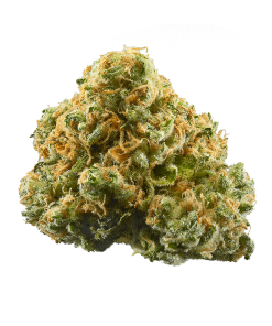 ACDC CBD-dominant cannabis flower buds showing dense earthy green coloring from the rare 1:20 THC to CBD ratio Cannatonic phenotype