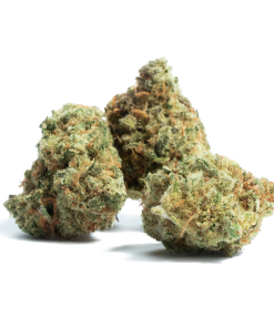 Amnesia Haze sativa cannabis flower buds showing dense frosty trichomes, light green coloring, and sticky resinous texture with citrus-lemon aroma profile