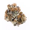 Dense purple-hued Blueberry indica buds by DJ Short bred from Purple Thai and Thai genetics