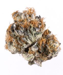 Dense purple-hued Blueberry indica buds by DJ Short bred from Purple Thai and Thai genetics