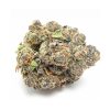 Blue Cookies cannabis flower with dense green and purple nugs covered in thick frosty white trichomes