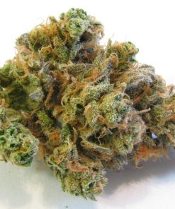 Blue Dream sativa-dominant hybrid cannabis flower buds with frosty trichomes, vibrant green coloring, and orange pistils