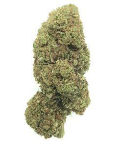 Bubba Kush CBD hemp flower buds with dense indica structure, deep green and purple tones