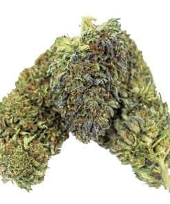 Close-up of Bubba Kush CBD flower showing thick trichome coverage and chocolate pine aroma profile