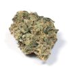 Durban Haze pure sativa flower buds with chunky round structure and thick trichome coating, bred from South African Durban Poison genetics