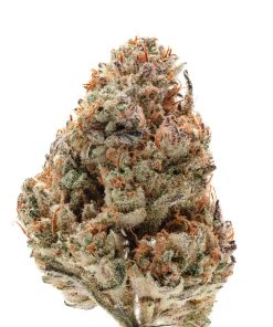 Fire OG Kush dense frosty buds covered in vivid red hairs, indica-dominant hybrid crossed from OG Kush and SFV OG Kush