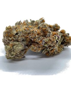 Close-up of Dolato Do-Si-Lato strain buds with thick trichome coating, vivid orange pistils, and deep purple coloration