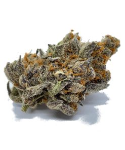 Dolato indica flower colas displaying light-to-dark green and red-wine purple hues with bright orange pistils and dense diamond-like trichome coverage
