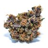 Forbidden Fruit cannabis flower with dense purple-hued buds, wiry orange hairs, and dark green foliage