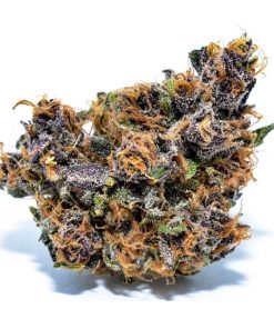 Forbidden Fruit cannabis flower with dense purple-hued buds, wiry orange hairs, and dark green foliage