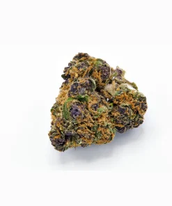 Close-up of Forbidden Fruit strain bud displaying deep purple coloring and heavy frosty trichome coverage