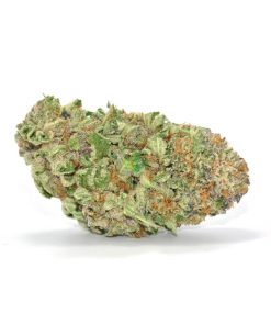 Headband Kush cannabis flower buds with dense dark green nugs, vivid orange pistils, and a thick frosty trichome coating
