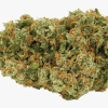 Jack Herer sativa-dominant cannabis flower buds with dense green nugs and earthy pine aroma