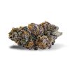 Purple Punch indica flower buds with dense trichome coverage and deep purple coloring
