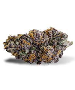 Purple Punch indica flower buds with dense trichome coverage and deep purple coloring