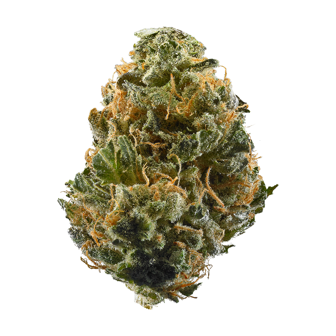 IMG_8944.png Ringo's Gift high-CBD cannabis flower buds showing dense trichome coverage, a Harle-Tsu and ACDC cross with up to 24:1 CBD to THC ratio