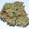 SFV OG dense green buds with orange pistils and frosty trichomes — San Fernando Valley OG sativa-dominant hybrid cannabis flower