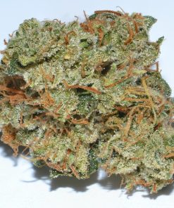 SFV OG dense green buds with orange pistils and frosty trichomes — San Fernando Valley OG sativa-dominant hybrid cannabis flower