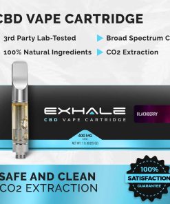 Exhale 400mg CBD cartridge bundle with battery and charger