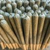 1.5g sativa pre-rolls pack featuring multiple strain options including Sour Diesel, Jack Herer, and Green Crack