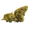 Super Lemon Haze SLH sativa hybrid cannabis buds densely coated in kief with multi-colored trichomes, bred from Lemon Skunk and Super Silver Haze genetics