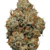 OG Kush cannabis flower buds showing dense green nugs with orange pistils against a dark background