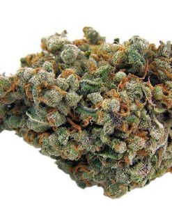 Trainwreck sativa cannabis flower buds with dense frosty trichomes, orange pistils, and vibrant green coloring