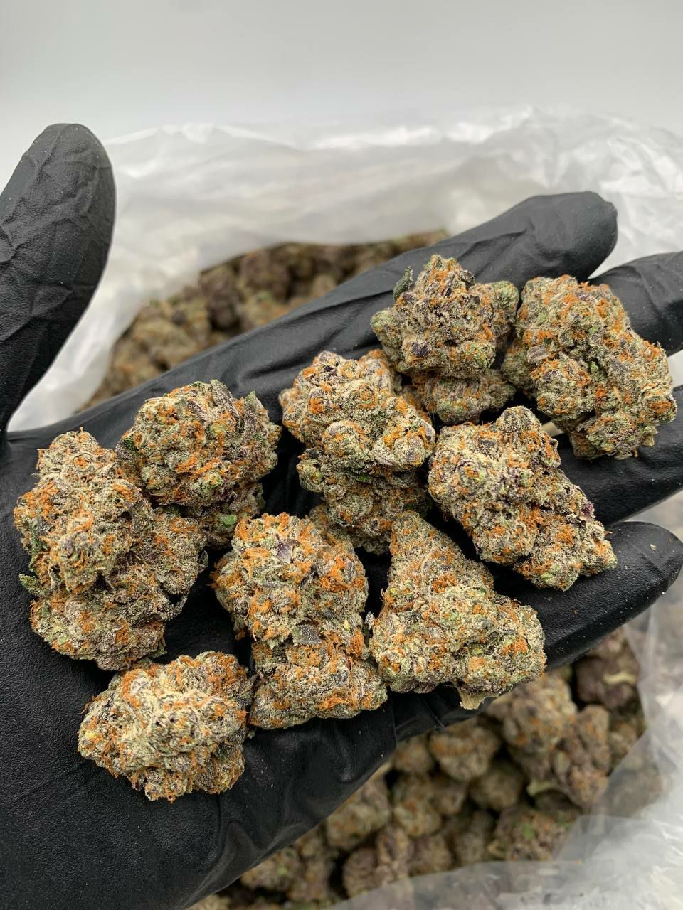 082207A8-2029-478F-9BAF-42E70C3488DA.jpeg Blackberry Kush indica strain bud with visible yellow and purple coloring