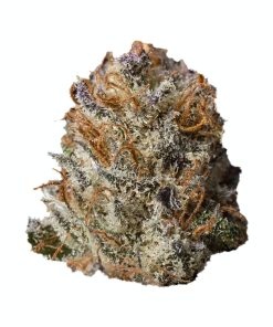 Premium Bubble Kush cannabis bud with dense trichomes, vibrant green and purple hues, and strong aroma.