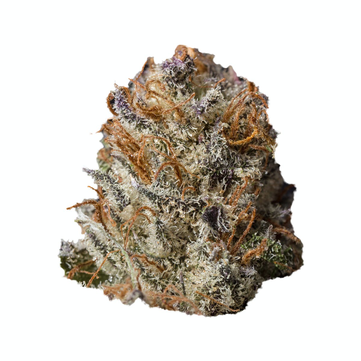 Bubba Kush Indica Strain – Florida Gas Packs Premium Bubble Kush cannabis bud with dense trichomes, vibrant green and purple hues, and strong aroma.