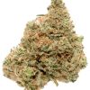 Durban Poison Cannabis Strain Buds Isolated on White Background