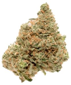 Durban Poison Cannabis Strain Buds Isolated on White Background
