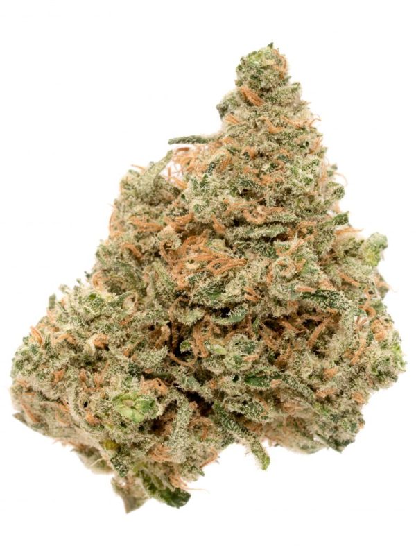 Close-up of Durban Poison strain buds showing dense forest-green nugs with orange pistils and milky-white trichomes