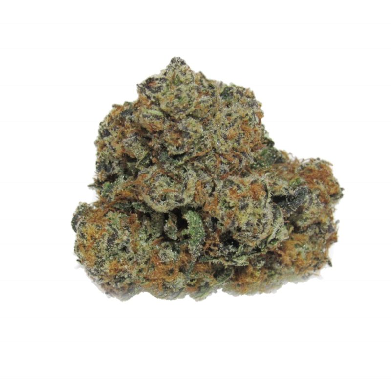 Close-up of Do-Si-Dos strain buds showing dense trichome coverage, orange pistils, and deep green and purple leaves