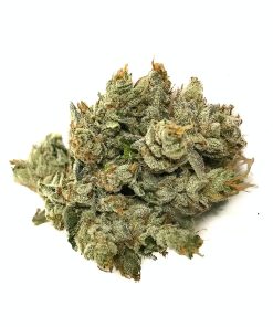 OG Kush cannabis strain buds with dense trichome coverage and vibrant orange pistils