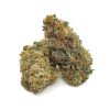 Black Cherry Punch indica hybrid cannabis buds with frosty white trichomes, orange hairs, and minty green grape-shaped nugs
