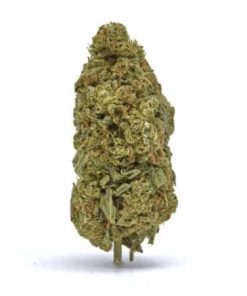 Fortified Alien Kush Delta 8 hemp flower buds close-up showing dense indica-dominant hybrid strain