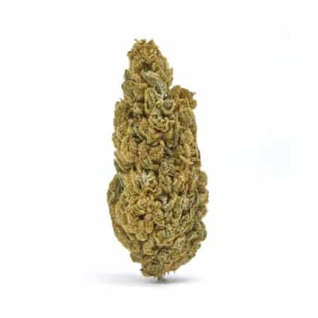 20344976-1.jpg Casino Cookies CBD hemp flower buds showing dense green nugs with a hybrid sativa-indica strain profile