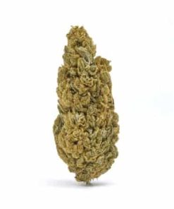 Casino Cookies CBD hemp flower buds showing dense green nugs with visible trichomes