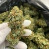 Buy Jack Herer strain online – premium cannabis seeds for sale