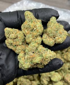 Green Crack sativa strain jar with multiple sizes available at Florida Gas Packs dispensary