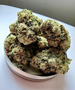 Fresh Sour Diesel Cannabis Buds - Premium THC Strain for Sale