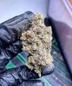 Blackberry Kush indica buds showing dense trichome coverage and dark purple hues