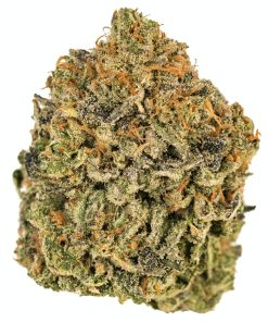 Birthday Cake cannabis strain buds with dense trichomes & purple hues on a white background